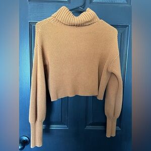 Wild Fable burnt orange cropped turtle neck sweater